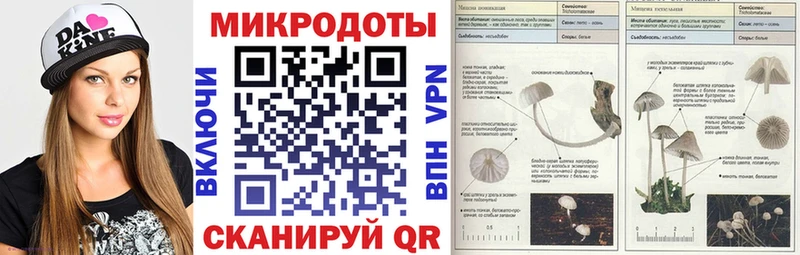 Псилоцибиновые грибы ЛСД  Переславль-Залесский 