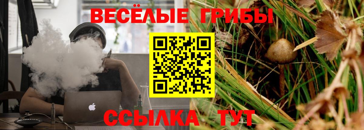 Псилоцибиновые грибы Magic Shrooms Переславль-Залесский